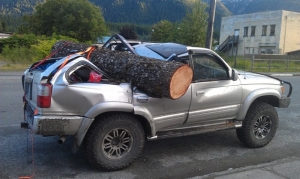 Toyota 4Runner смогла продожать движение после того, как на нее упало дерево